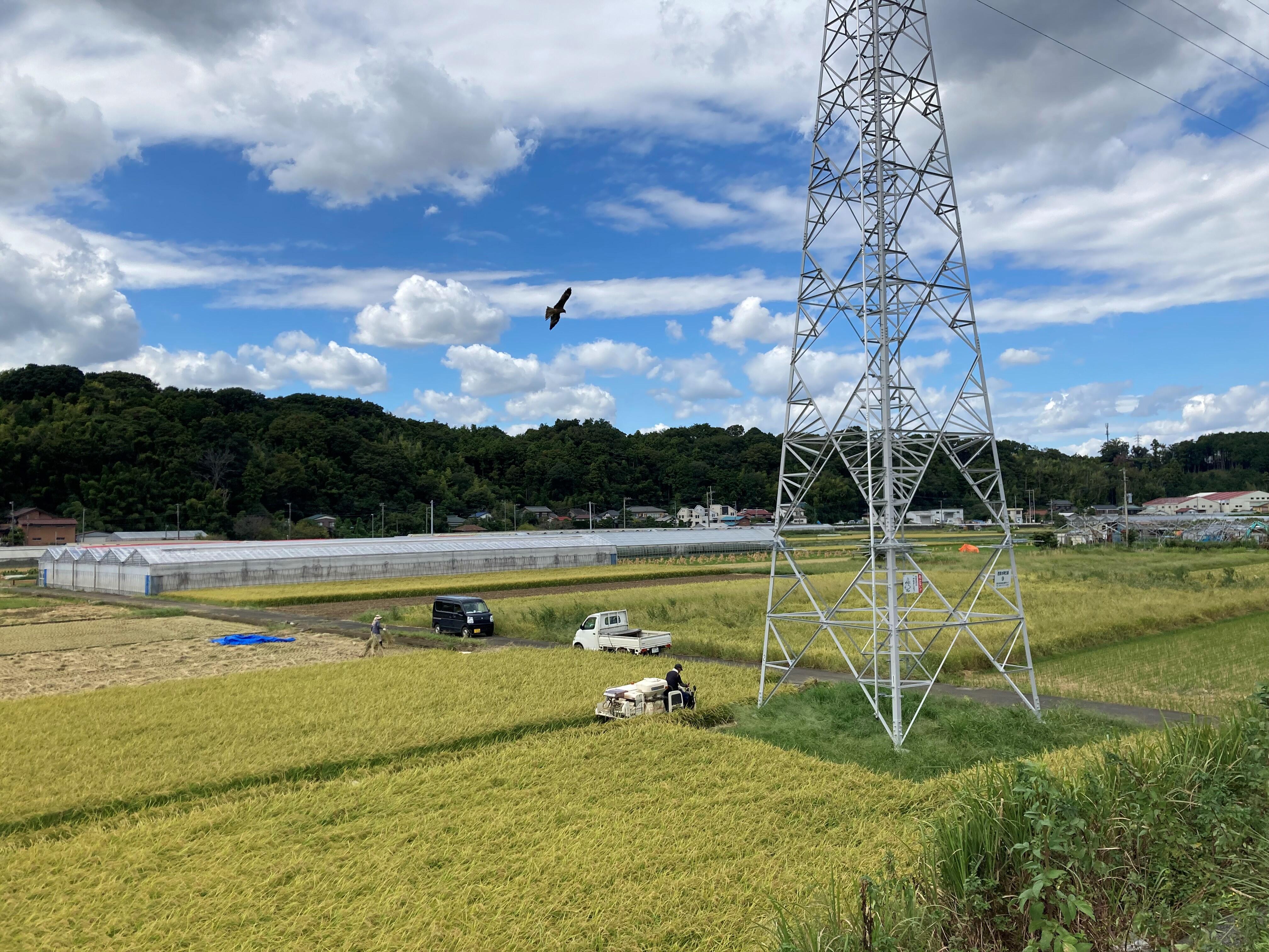 「湘南だいちの１０年、湘南ゆうき村の３０年」（湘南だいち・湘南ゆうき村　施設長　妹尾　貢）